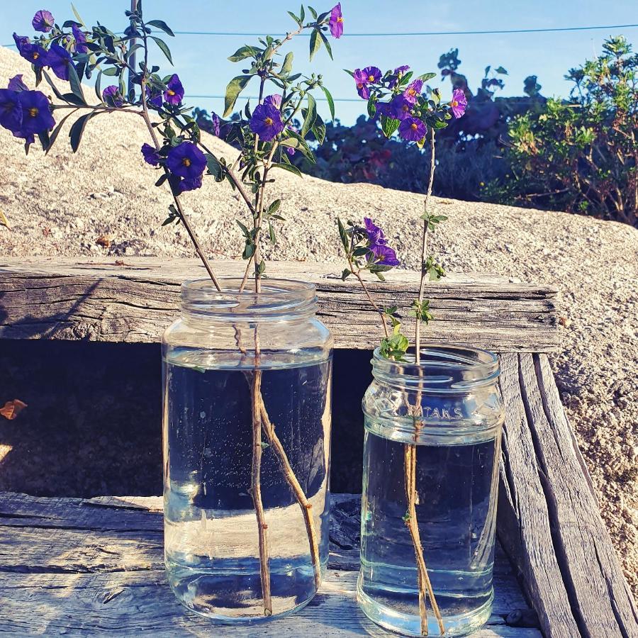 Casa Do Fundo - Sustainable & Ecotourism ξενώνας Seia Εξωτερικό φωτογραφία